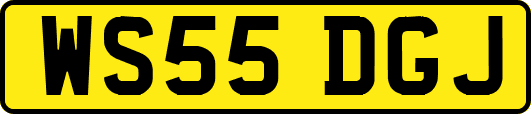 WS55DGJ