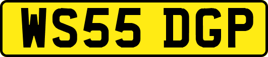 WS55DGP