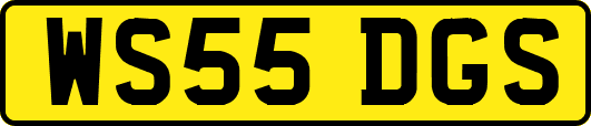 WS55DGS