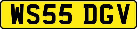 WS55DGV