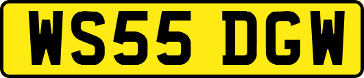 WS55DGW
