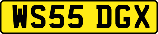 WS55DGX