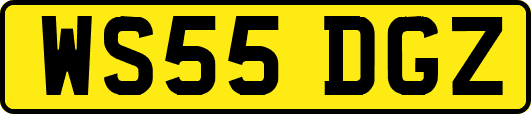 WS55DGZ