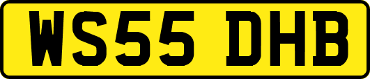 WS55DHB