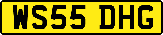 WS55DHG