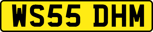 WS55DHM
