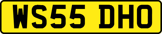 WS55DHO