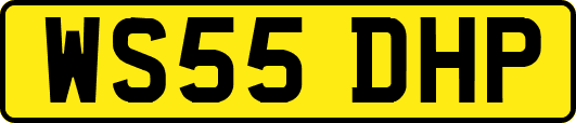WS55DHP