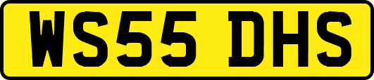WS55DHS