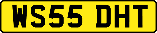 WS55DHT