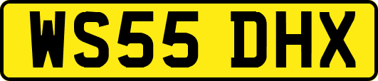 WS55DHX