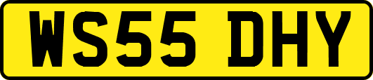 WS55DHY