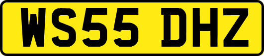 WS55DHZ