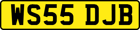 WS55DJB