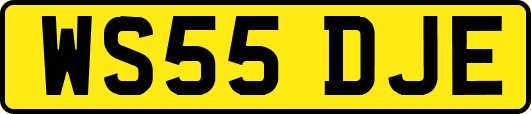 WS55DJE