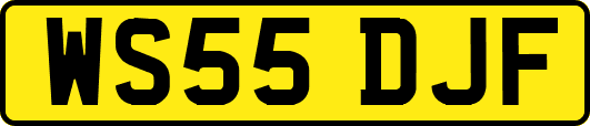 WS55DJF
