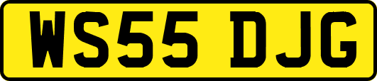 WS55DJG
