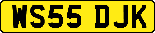 WS55DJK