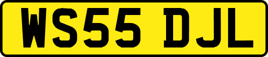 WS55DJL