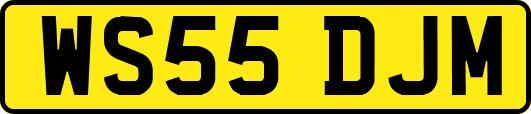 WS55DJM