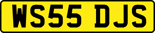 WS55DJS