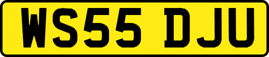 WS55DJU