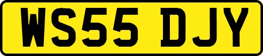 WS55DJY