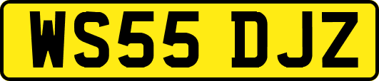 WS55DJZ