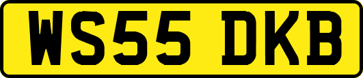 WS55DKB