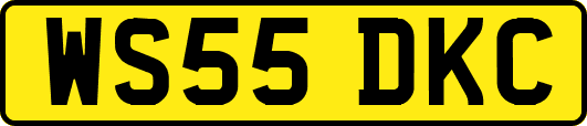 WS55DKC