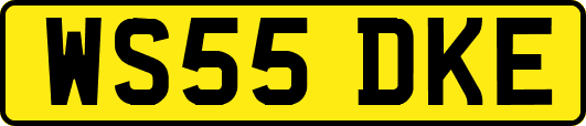 WS55DKE