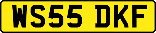 WS55DKF