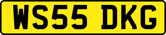 WS55DKG