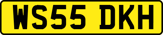 WS55DKH