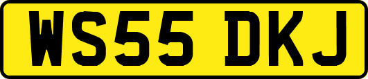 WS55DKJ