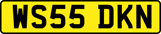 WS55DKN