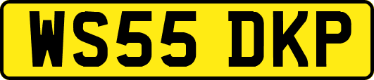 WS55DKP
