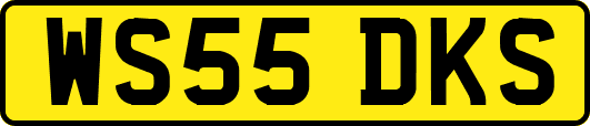 WS55DKS