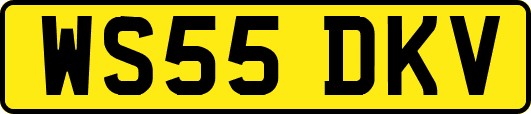 WS55DKV