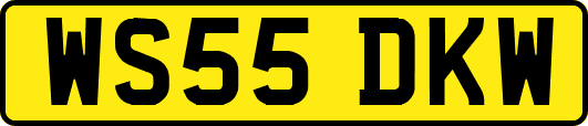 WS55DKW