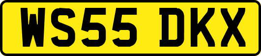 WS55DKX