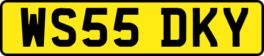 WS55DKY