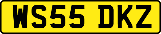 WS55DKZ