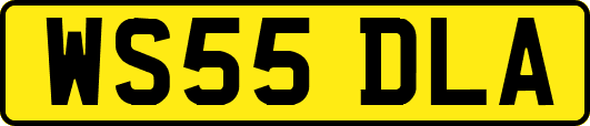 WS55DLA