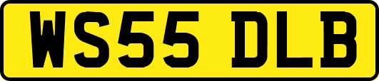 WS55DLB