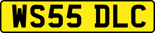 WS55DLC