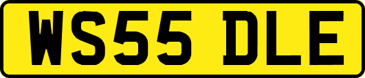 WS55DLE