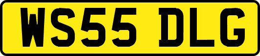 WS55DLG