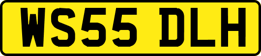 WS55DLH