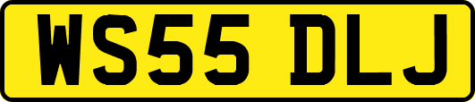WS55DLJ
